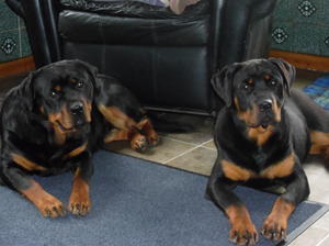 Lexi with her Daughter Echo