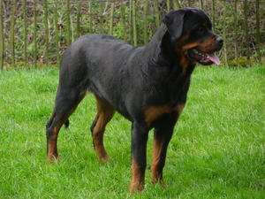 Emma at 12 mths