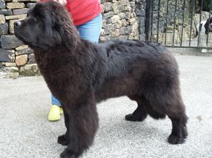 Pedro at 6 mths