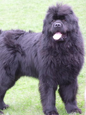 Our handsome lad