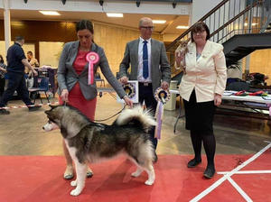 Reserve Best Puppy In Show