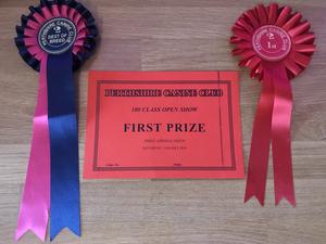 Best Of Breed