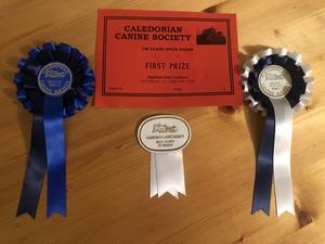 Best of breed, best puppy in breed, puppy group 2.