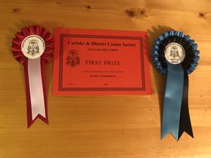 Best Of Breed