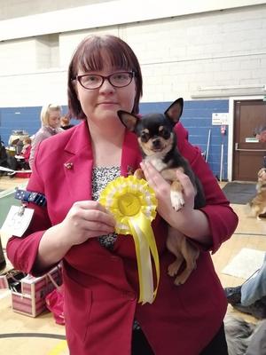 Best Of Breed, Group 3