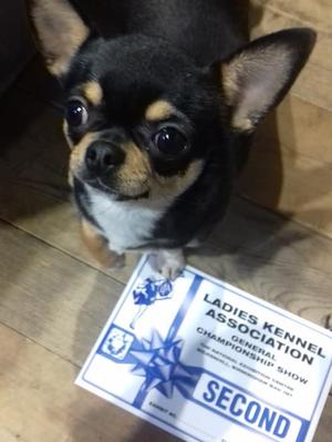 Second Post Grad Bitch