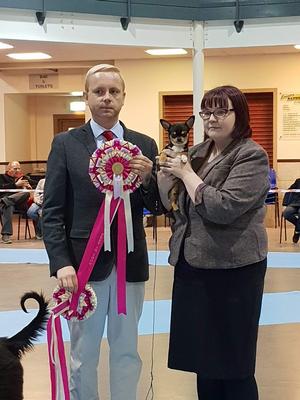 Best Puppy In Show