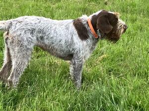 Lovely big boned girl with a fab personality.