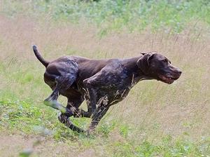 On a retrieve at a working test