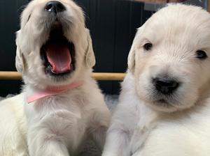 Cute siblings