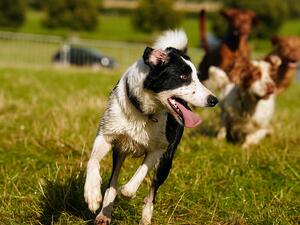 Wynter Running