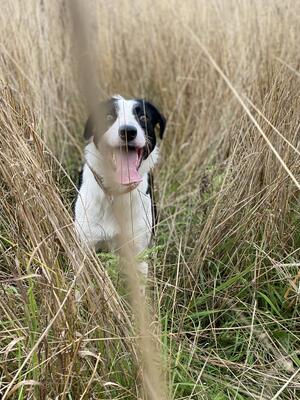 Wynter in long grass