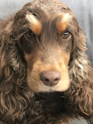 Mum Daisy