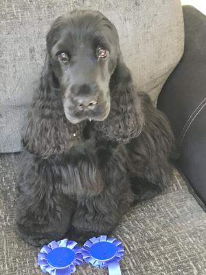 Hugo