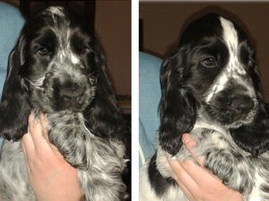 The two stunning boys avaliable now
