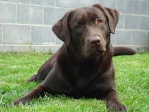 Hope at 10 months