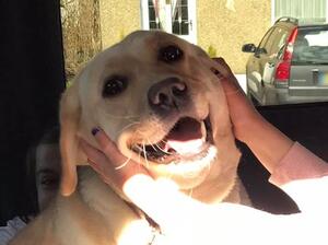 Missie with her favourite 