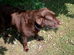 Hope in her new home