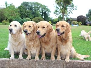Left- Grandma, Auntie, uncle, mum, me... running