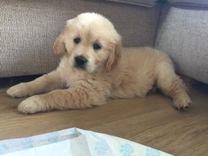 Just chilling