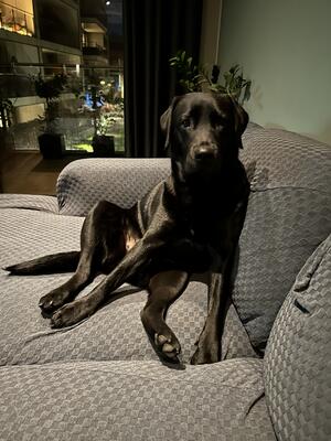 Aoife 1
