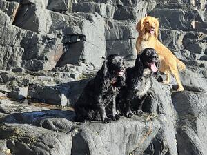 Pip with sister and mother