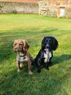 Sisters Pip and Twig