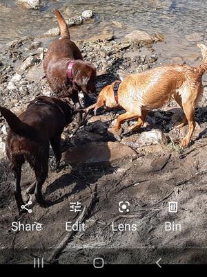 Girls just gotta play