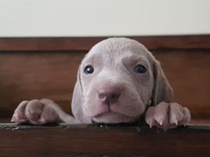 Hello World!