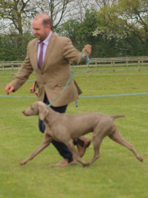 Toggle demonstrating effortless movement