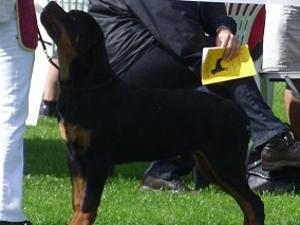 Alkido's Fagan at 6 mths