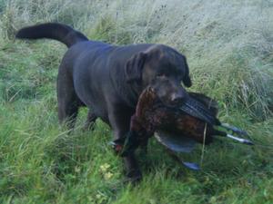 Bailey picking up on the shoot