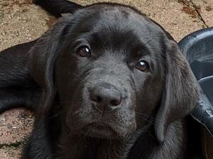 Maisie Oct 2022