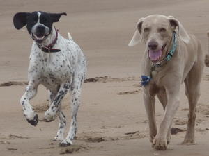 Lizzi with Tommy Byrne on hols 2010