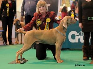 CHAMPION & IR SH CH ENRYB SECRET PARTY JW Sh CM
