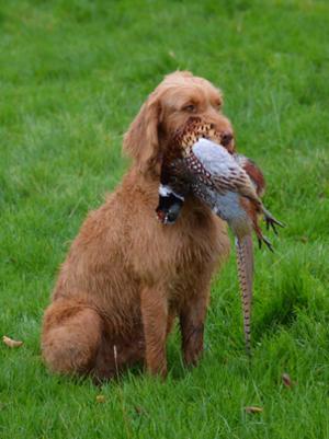 BRIAN with his PHESSIE
