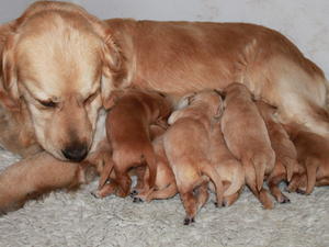 Mhairi and family