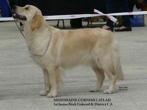Medodaine Cornish Laylah