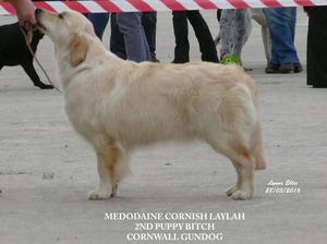 Medodaine Cornish Laylah