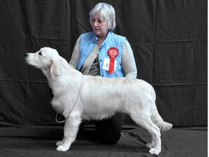 Medodaine Gulivers Travlah just 6 months old.
