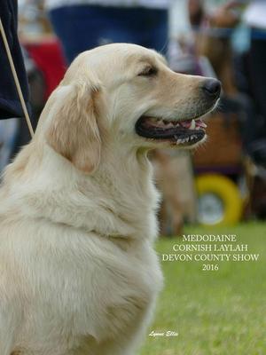 Medodaine Cornish Laylah