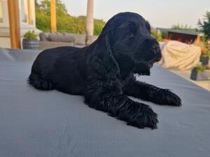 Watching the world go by