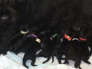 Feeding time