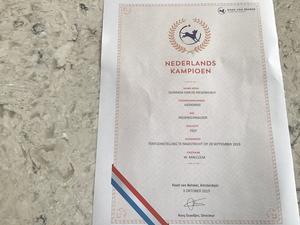 Dutch Champion Certificate