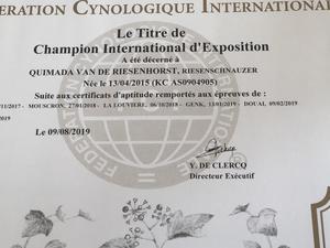 International Champion Certificate