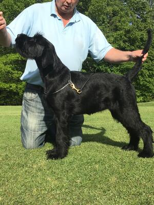Six months old