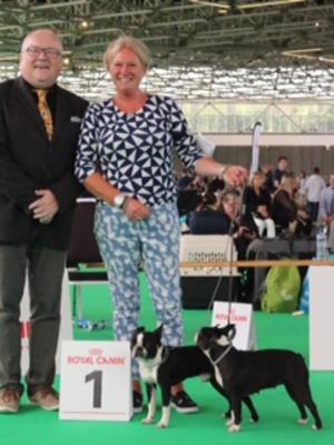 World Dog Show 2018