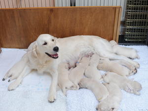 Proud Mum