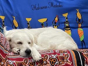 Chilling out - life is easy