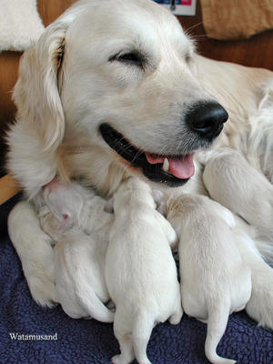 Sakina and her family